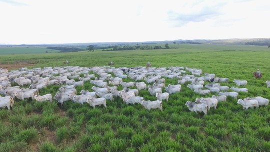 Iniciativa da JBS ajuda a destravar acesso de pequenos produtores ao crédito rural Iniciativa da JBS ajuda a destravar acesso de pequenos produtores ao crédito rural