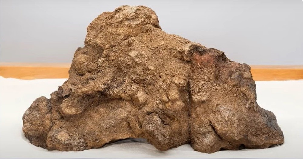 Moeda que vale milhões, maior pepita de ouro em exposição: conheça as ...