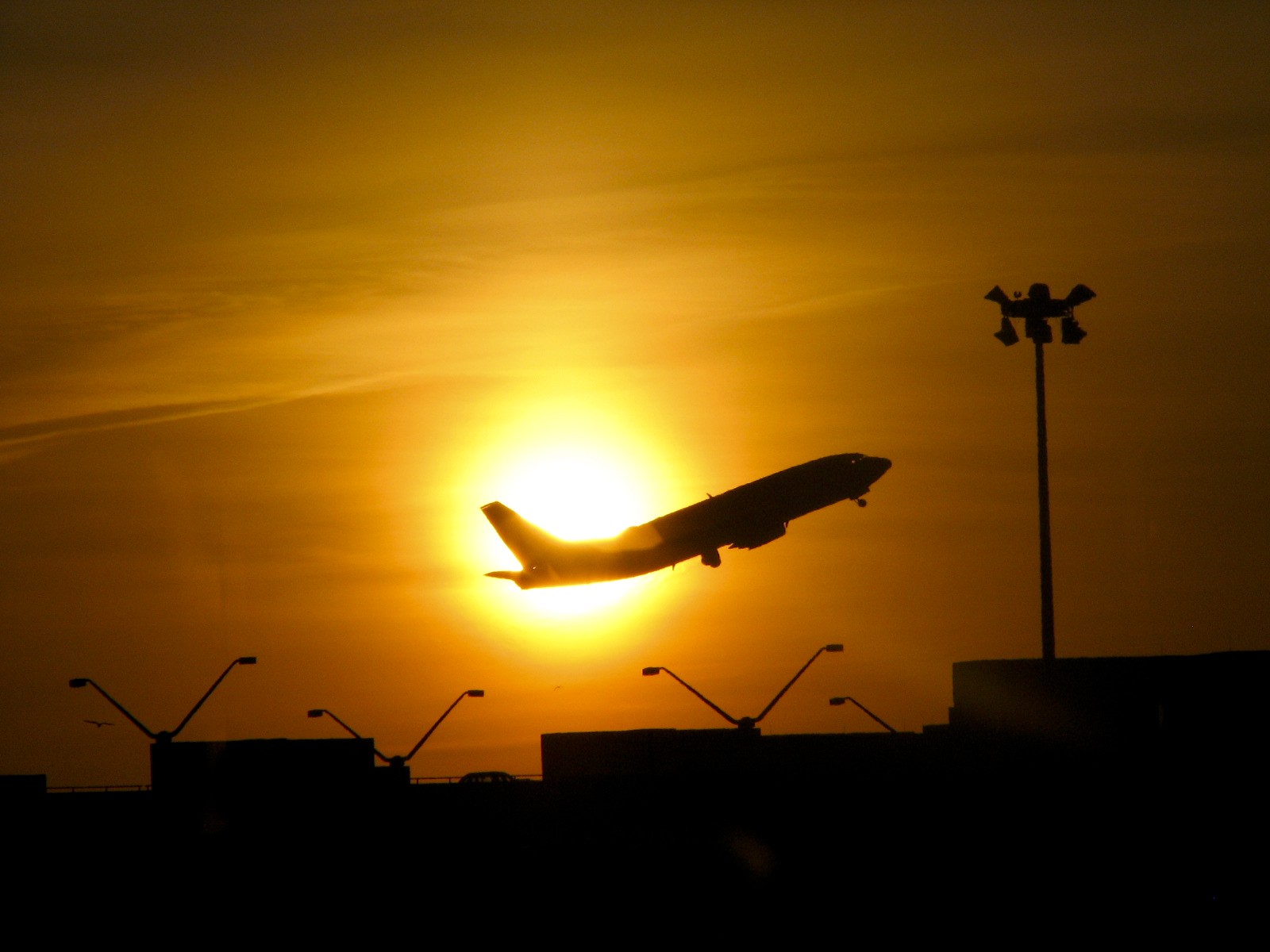 Brasil pode ser um dos principais atores do mercado de combustível renovável de aviação