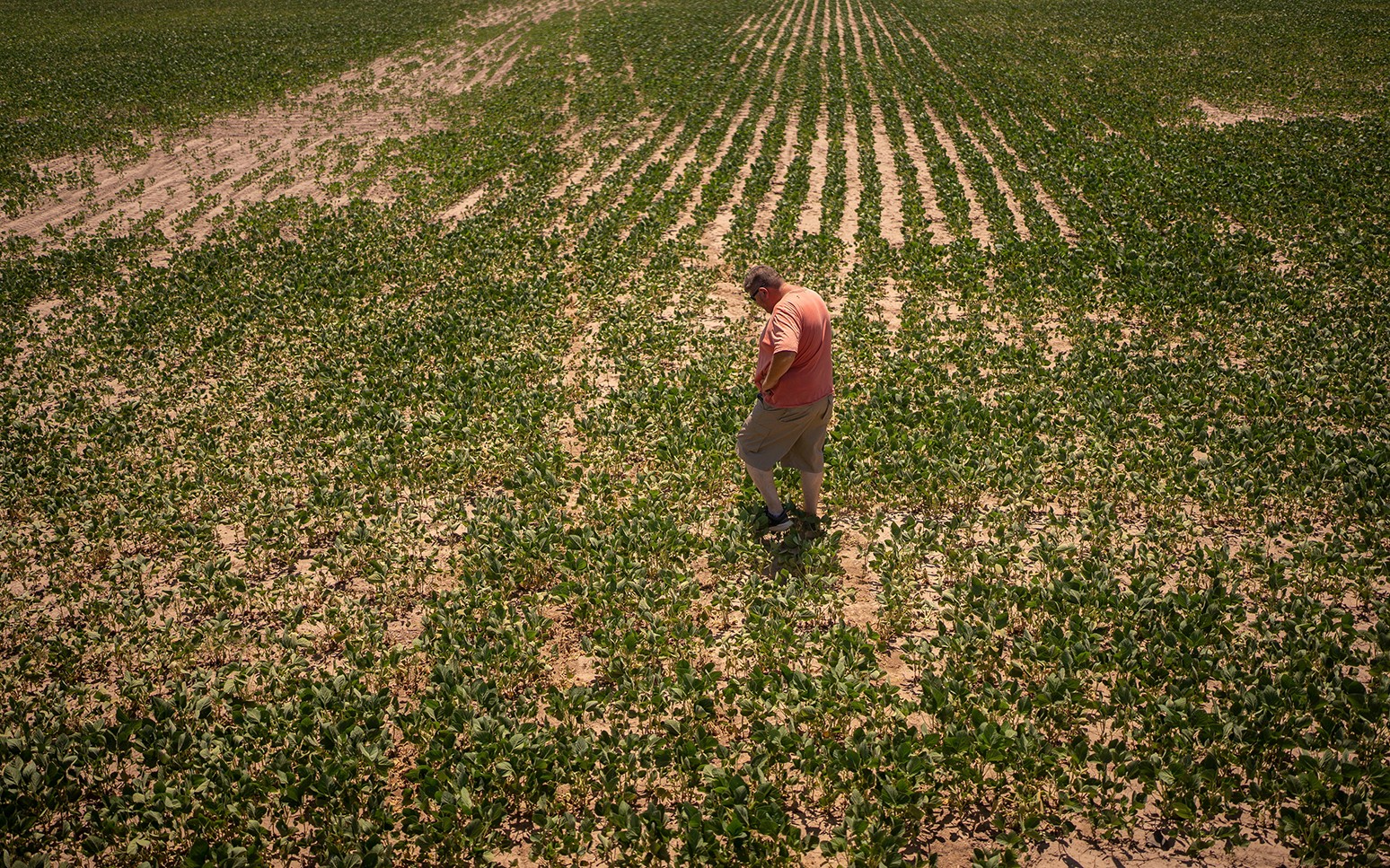 Atividade econômica da Argentina sobe 5,5% em março