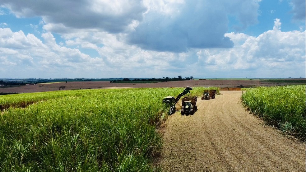 Colheita de cana-de-açúcar em operação da Clealco no interior de SP; Grupo ampliou moagem em 70% em três safras — Foto: Divulgação