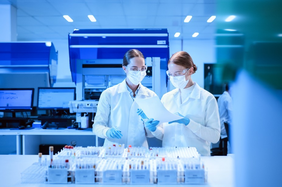 Grupo DB aposta na descentralização e projeta faturamento de R$ 2,1 bi para 2026