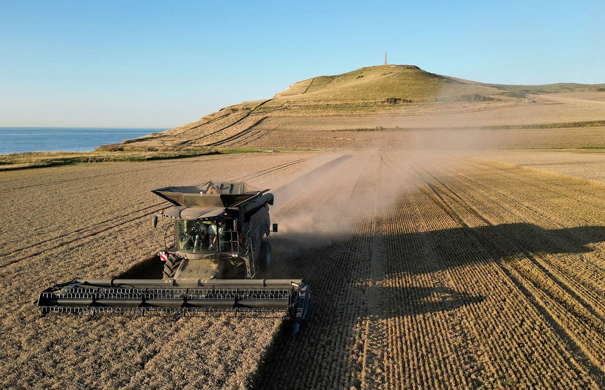 Incertezas levam países do mundo a retomar prática de estocar alimentos