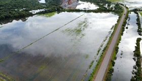 Seguro como despesa obrigatória requer nova lei
