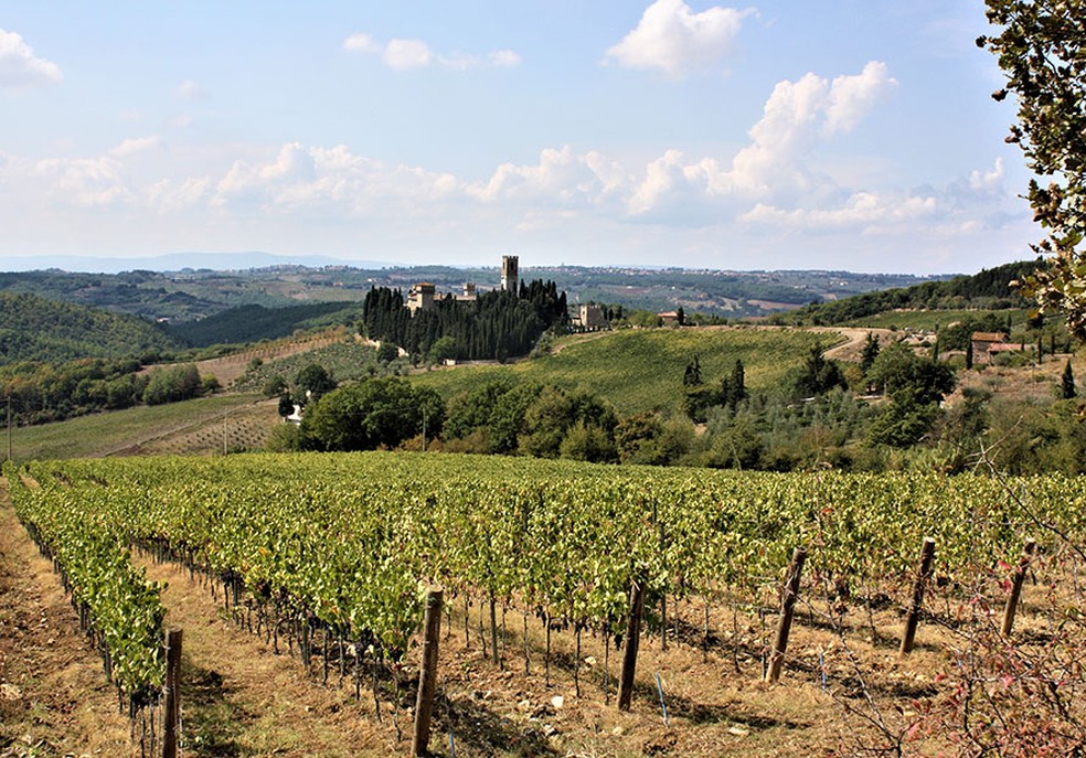 Vinhedo na Toscana, onde a DOC delimitou áreas e estabeleceu regras de cultivo — Foto: Jorge Lucki