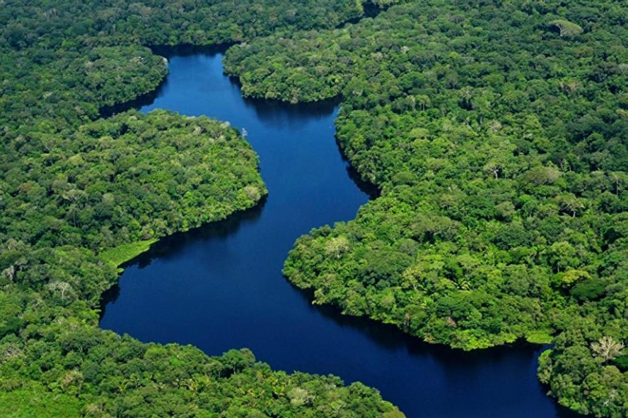 Governo do Pará lança edital de florestas