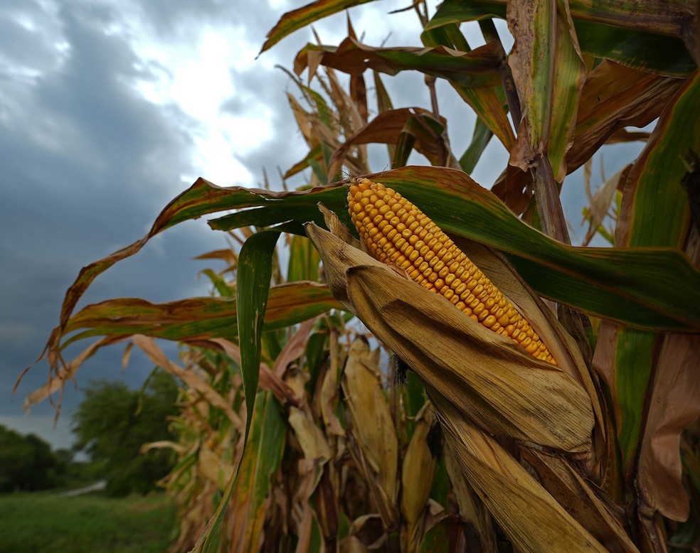  — Foto: Charlie Riedel/AP
