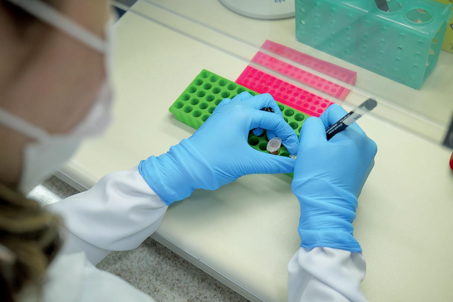 Instituições brasileiras avançam no desenvolvimento de tratamentos e diagnósticos com ajuda da biotecnologia