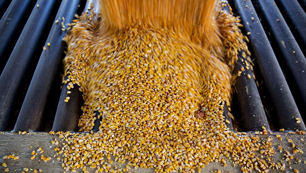 Milho em grão, cuja deflação passou de 4,33% para 15,64%, foi um dos itens que mais contribuíram parra o resultado do Índice de Preços ao Produtor Amplo — Foto: Daniel Acker/Bloomberg