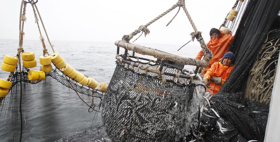 Pesca de anchovas no Peru, maior exportador mundial de farinha de peixe: produto atingiu preço recorde de US$ 2.400 por tonelada, devido à menor oferta — Foto: Enrique Castro-Mendivil/Reuters