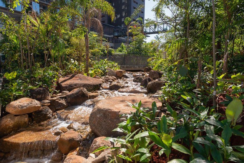 The park, in Brooklyn, has a plaza with a stream surrounded by the country's native species - Photo: GAMARO/DIVULGACHAO