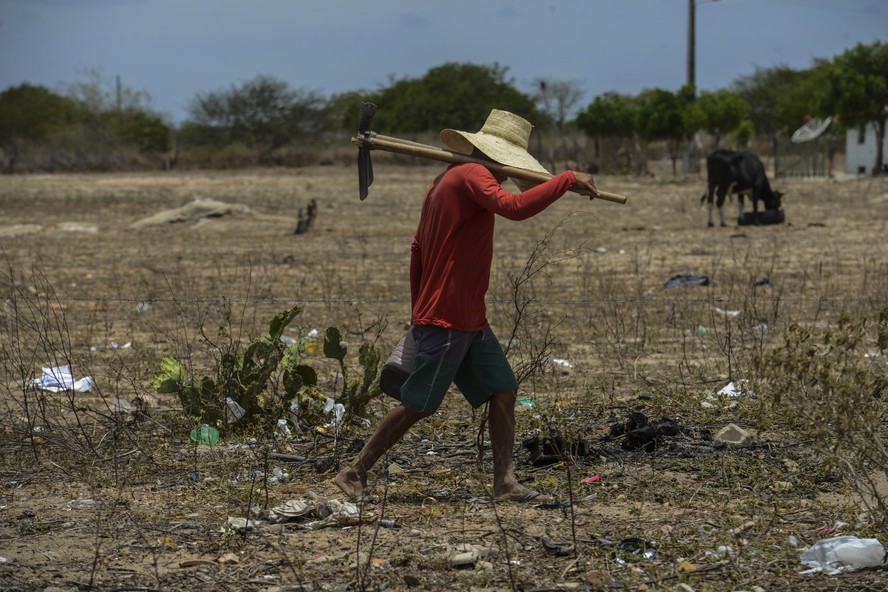Todas as regiões do país apresentaram queda na população rural, diz ...