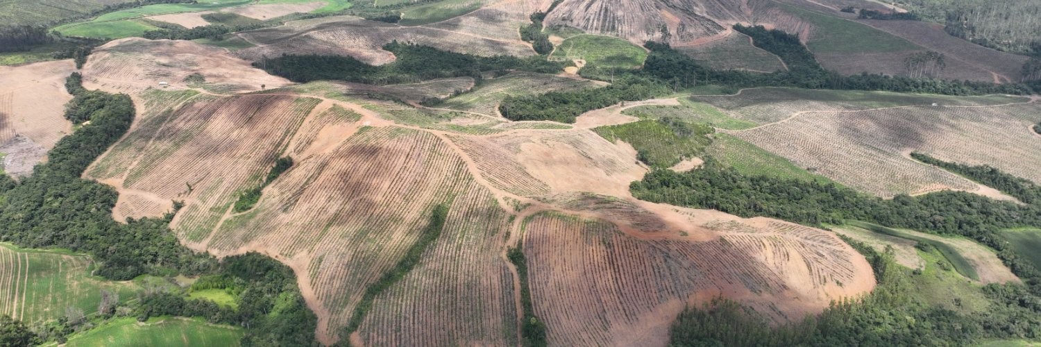 Meteoric Resources conclui colocação de US$ 40 milhões em projeto de terras raras em Minas Gerais