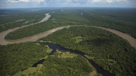 Desmatamento na Amazônia cai 10% em maio e 31% no ano