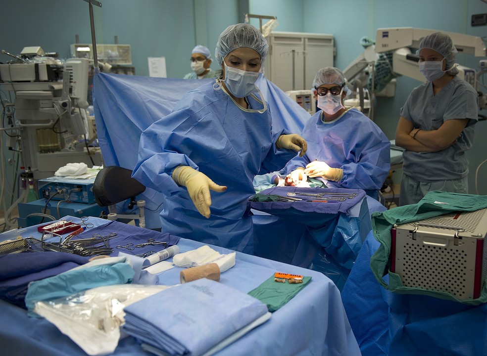 Enfermeira presta assistência a médico em cirurgia — Foto: David Mark/Pixabay