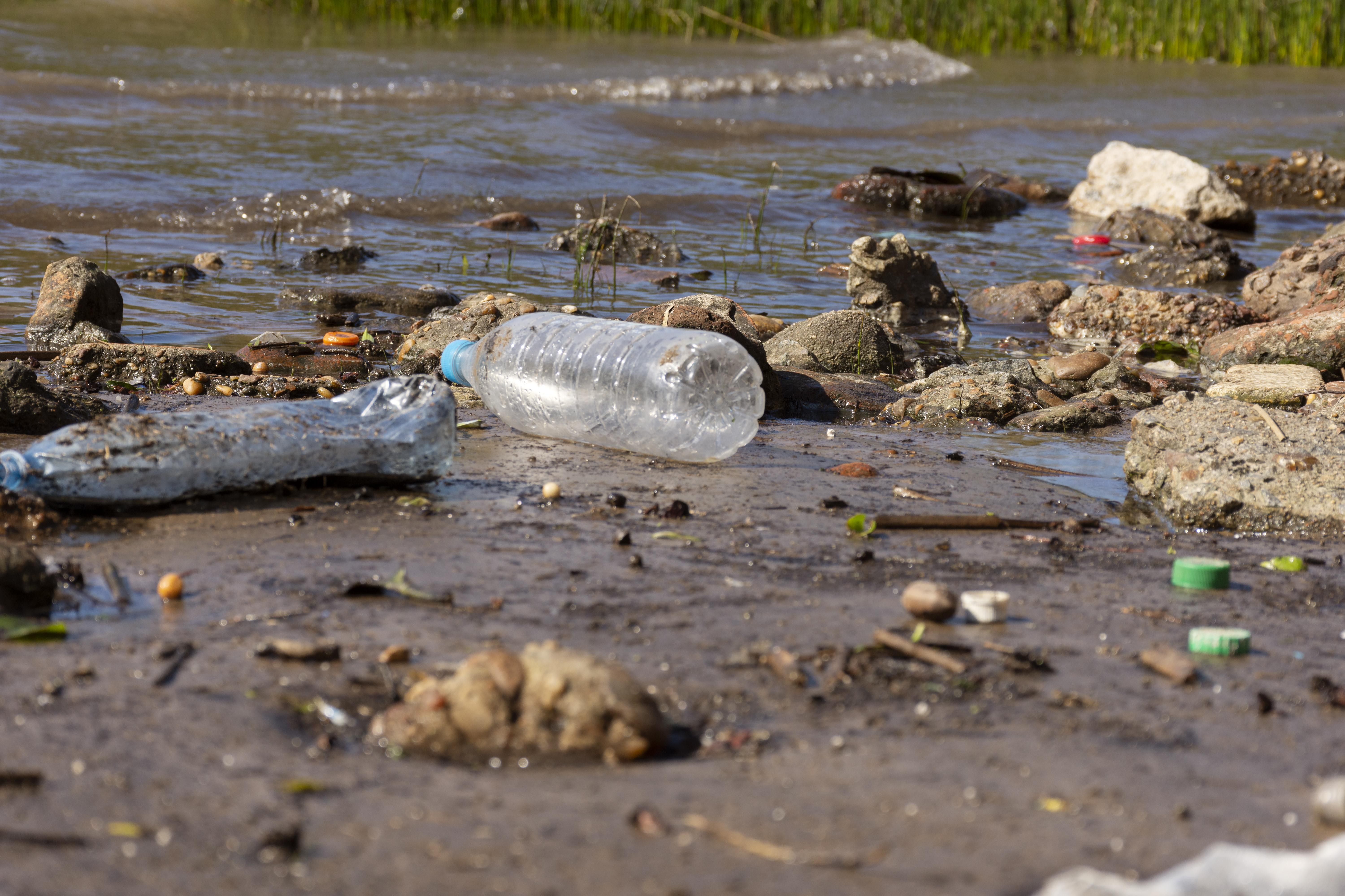 Dia Mundial do Meio Ambiente: Brasil registra mais de 160 mil denúncias por crimes ambientais