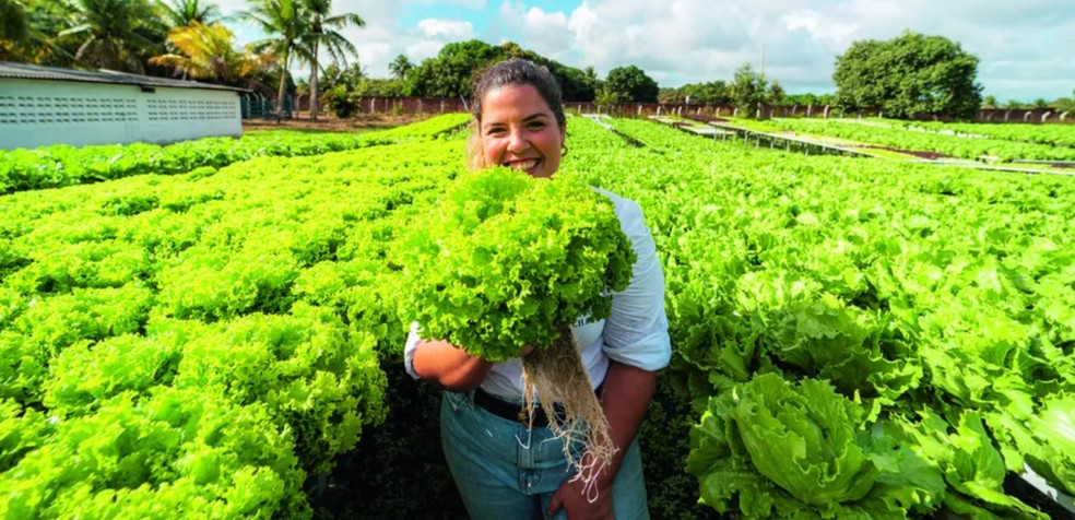 Agricultura de precisão e internet das coisas estão entre as inovações trazidas pela inteligência artificial para o campo — Foto: Divulgação
