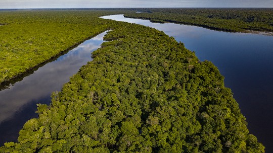 Desmatamento na Amazônia cai quase 22% em um ano, informa Ministério do Meio Ambiente