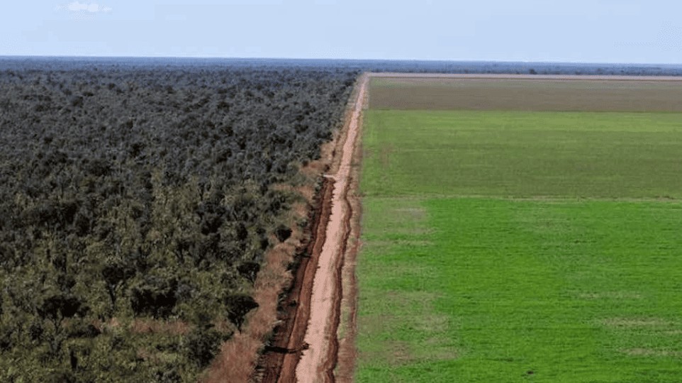 Avanço da fronteira agrícola muda prioridades do agro e amplia demanda por infraestrutura - QTU Questões do Universo