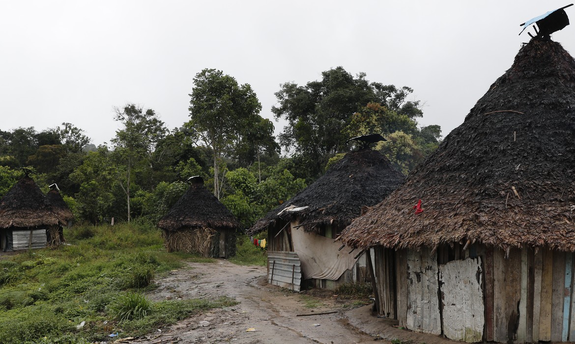 Governo atrela aumento de casos de malária na Terra Yanomami à realização de mais exames