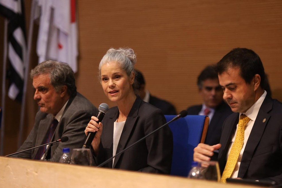 patricia vanzolini oab sp