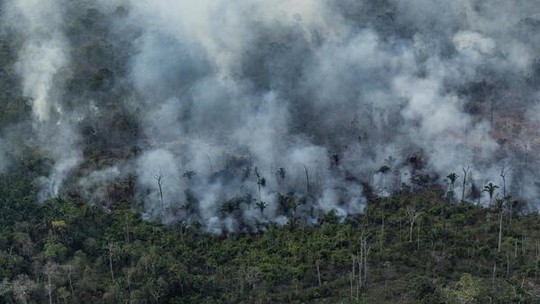 Desmatamento na Amazônia recua, mas degradação florestal dispara em 2024, aponta Imazon