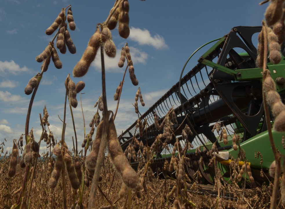 Produção de soja está longe de ser sinônimo de qualidade de vida, Agronegócios