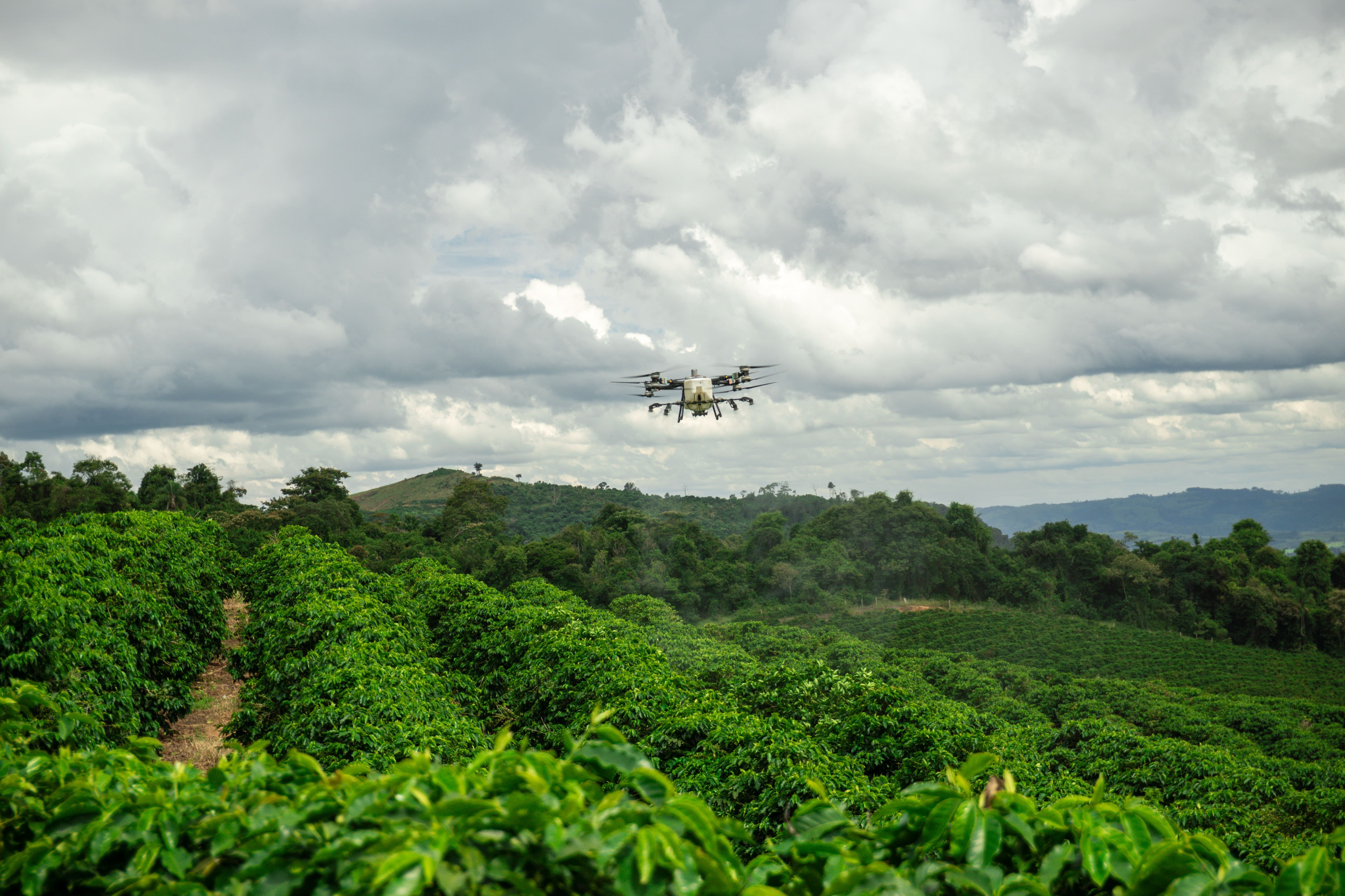 Relatório global DJI comprova benefício ambiental dos drones