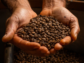 Cafeicultor no Brasil tem interesse em produção orgânica e em Indicação Geográfica, diz pesquisa