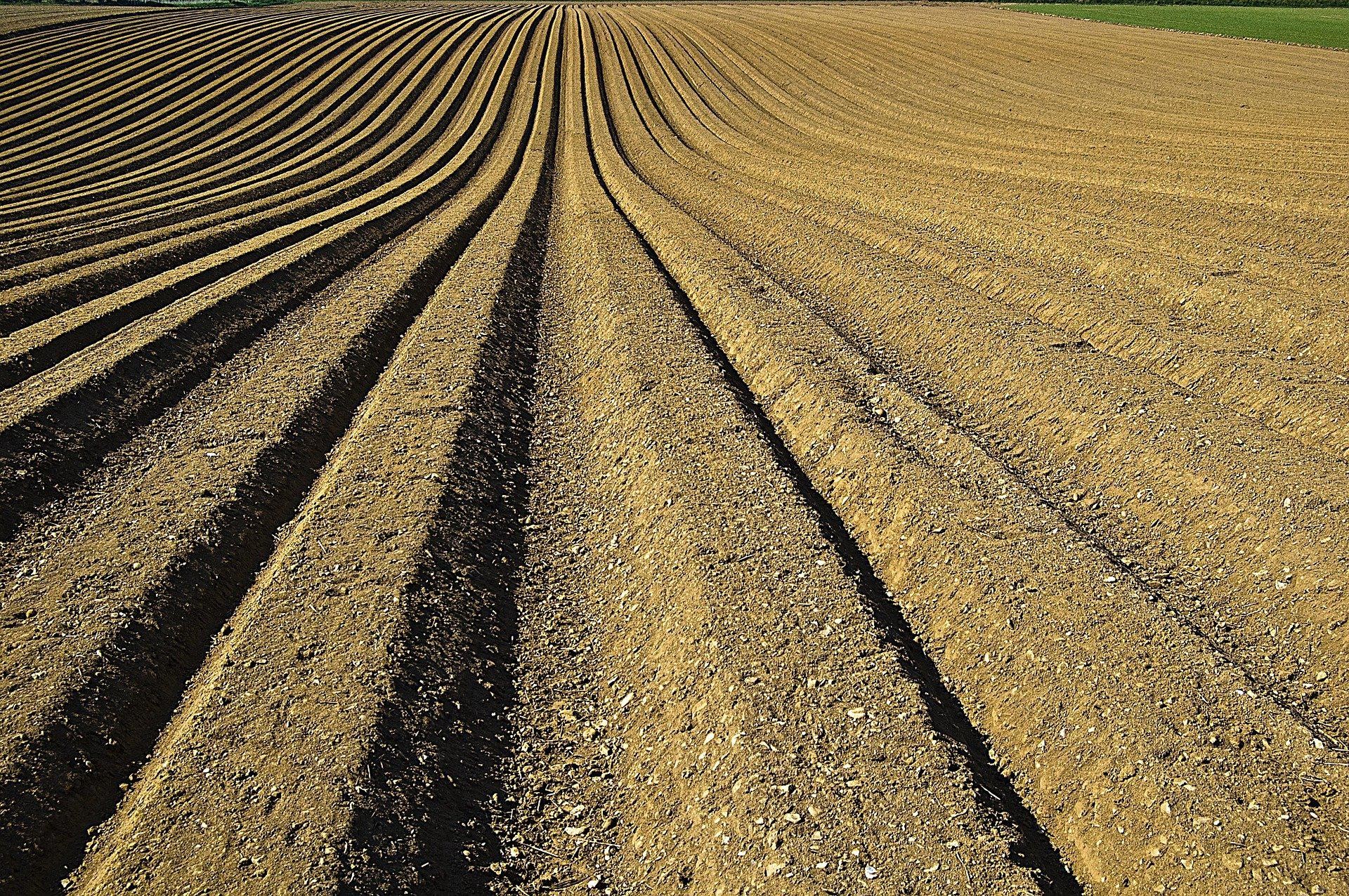 Brasil busca oferta emergencial 
de fertilizantes com 
Rússia, China e Marrocos