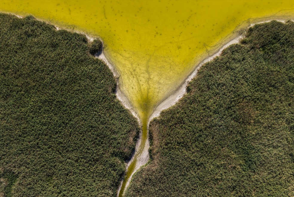 Vista aérea do Lago Velence, o terceiro maior lago da Hungria, que está secando após anos de seca e retenção insuficiente de água levarem o nível a patamares criticamente baixos, em Velence, na Hungria, em 6 de agosto de 2026 — Foto: REUTERS/Marton Monus