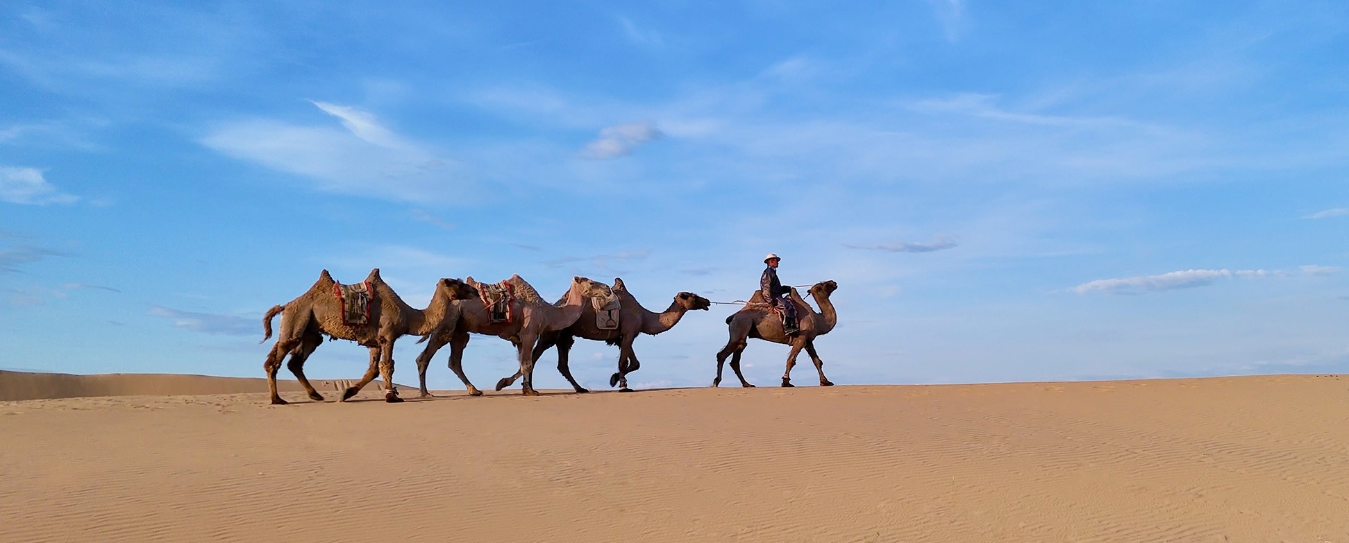 Disputas geopolíticas impedem avanços na COP da Desertificação - QTU Questões do Universo
