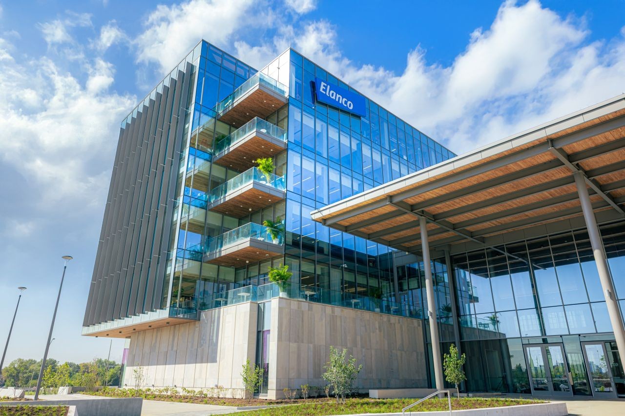 Elanco cresce 15% no 1o trimestre de 2026 e eleva projeções