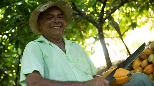 Painel financiado pelo Fundo JBS pela Amazônia gera dados inéditos da cadeia do açaí, cacau e babaçu em 35 anos Painel financiado pelo Fundo JBS pela Amazônia gera dados inéditos da cadeia do açaí, cacau e babaçu em 35 anos
