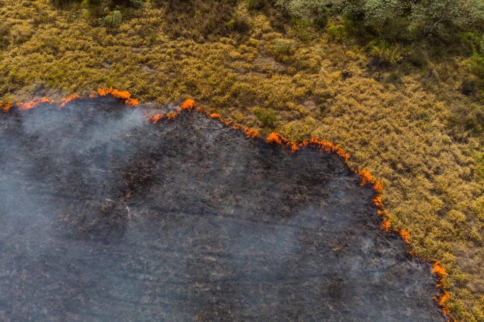 Na medida em que as empresas entendem a complexidade de analisar, por exemplo, como a crise climática afeta o desempenho financeiro das organizações, elas passam a compreender esse prazo de adequação como uma oportunidade. — Foto: Getty Images