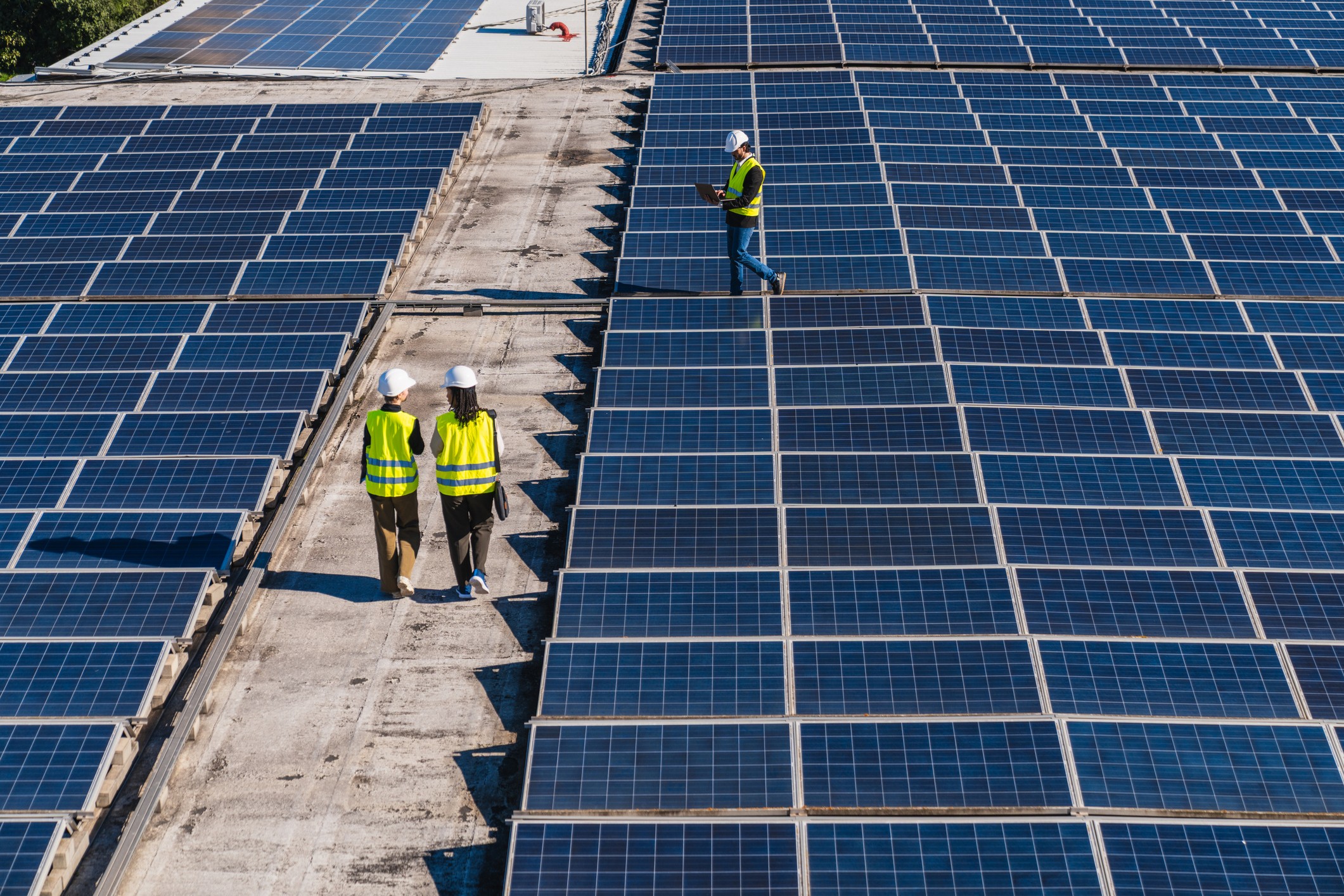 Agenda climática: empresas precisam transformar ideias em projetos financiáveis - Foto