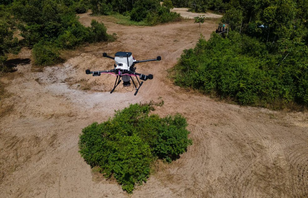 Drone da Morfo em ação no sul da Bahia: um equipamento é capaz de cobrir uma área de 50 hectares em um intervalo de dia, mesmo em terrenos íngremes — Foto: Divulgação