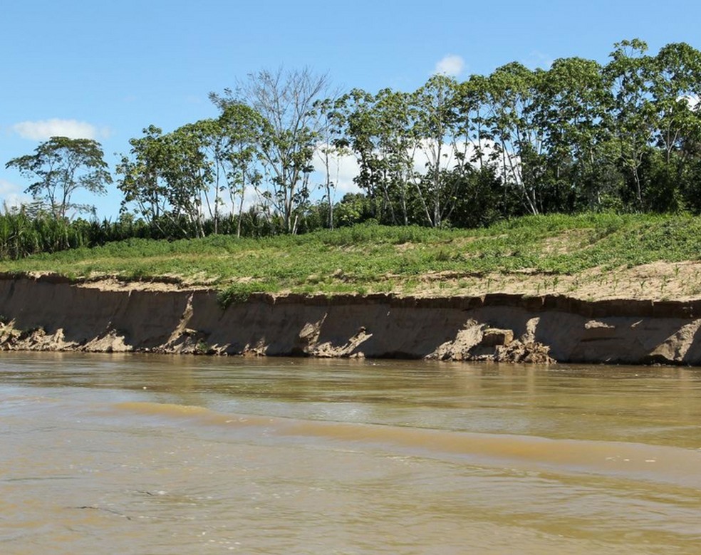 Margem bastante degradada do rio Acre, onde a mata ciliar não existe mais — Foto: Divulgação