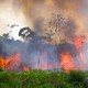 Desmatamentos e queimadas ameaçam 'rios voadores' na Amazônia