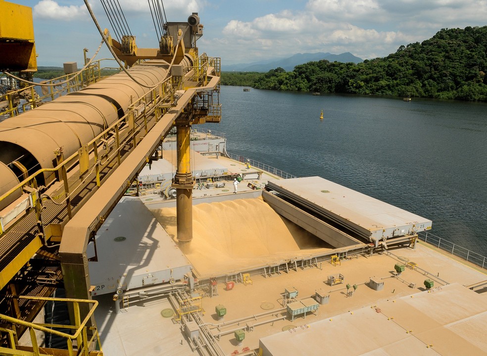     — Photo: Claudio Belli/Valeur