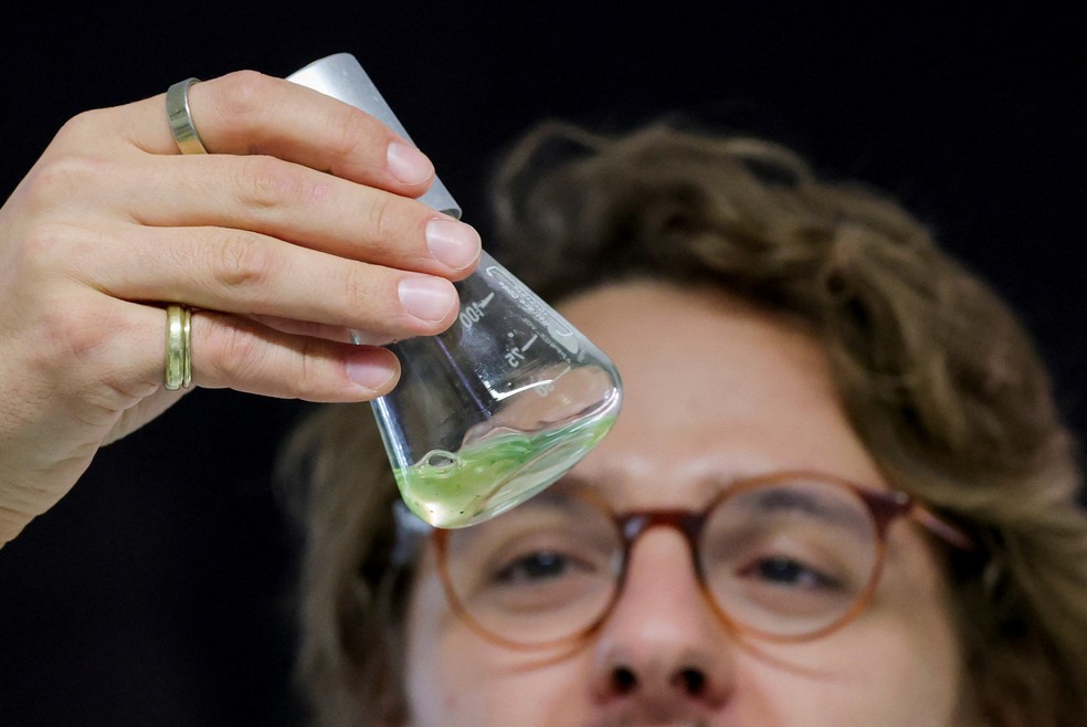 Darius Rauch, integrante da equipe de Peter Hegemann, segura um frasco com Chlamydomonas reinhardtii em meio TAP (Tris-Acetato-Fosfato) no laboratório de Hegemann, depois que o professor da Universidade Humboldt de Berlim recebeu o Prêmio Nobel de Medicina — Foto: REUTERS/Fabrizio Bensch