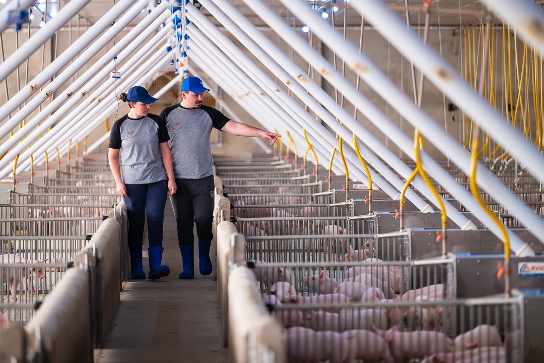 MBRF lança programa de estágio para estudantes de veterinária, agronomia e zootecnia