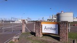 Âmbar Energia investirá R$ 5,5 bi em distribuição de eletricidade no Amazonas