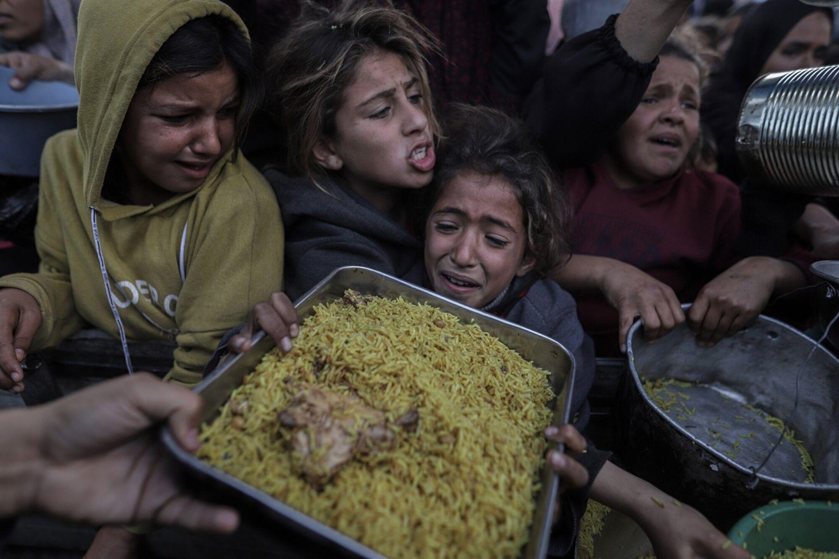 Governo anuncia que vai aderir ao processo na Corte Internacional contra genocídio em Gaza