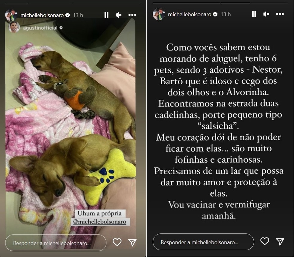 Michelle Bolsonaro oferece animais para adoção — Foto: Reprodução/Instagram