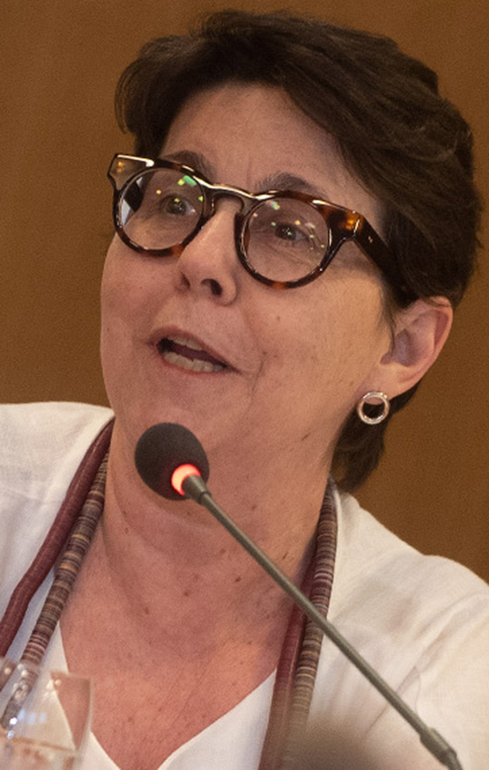 Tereza Campello, diretora do BNDES — Foto: Divulgação