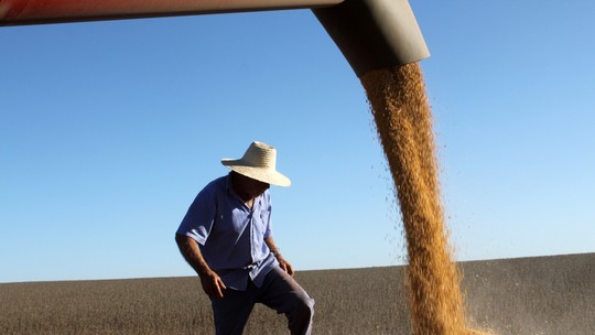 Transição energética impulsiona inclusão no campo