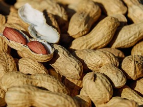 Duas empresas de amendoim de SP são habilitadas a exportar 