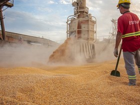 Em menos de um ano, China se torna principal importador de milho do Brasil