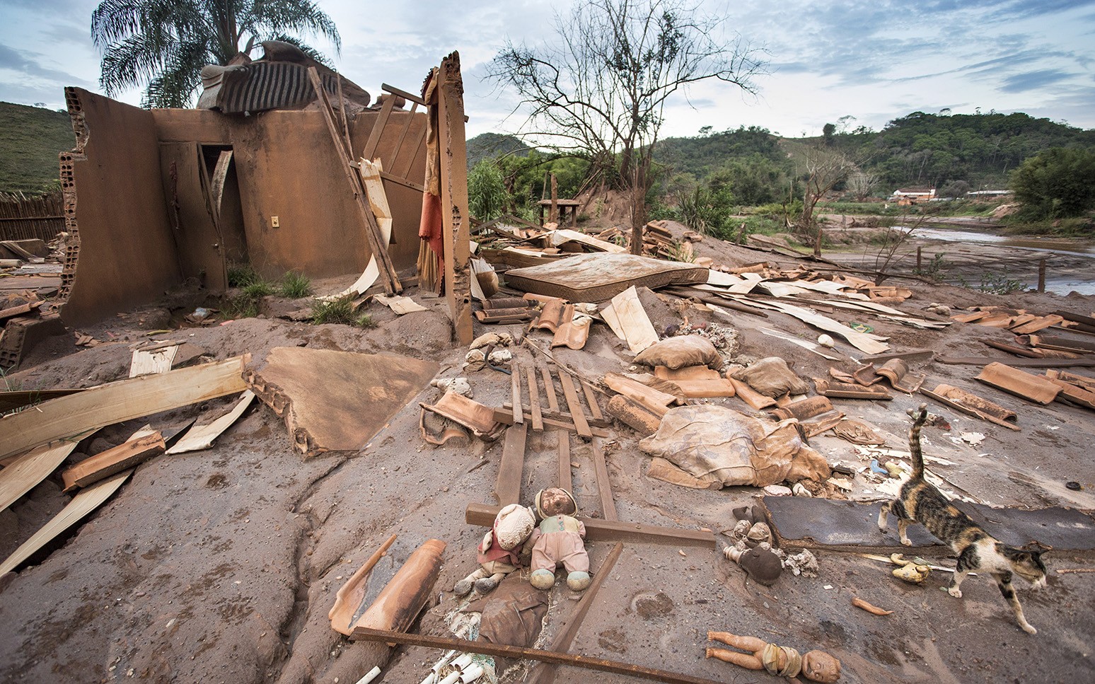 STF assume mediação de acordo entre Vale e União sobre tragédia de Mariana